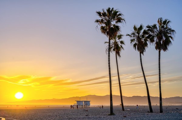 Qu'est-ce qui rend les plages de Los Angeles si uniques et si attrayantes ?