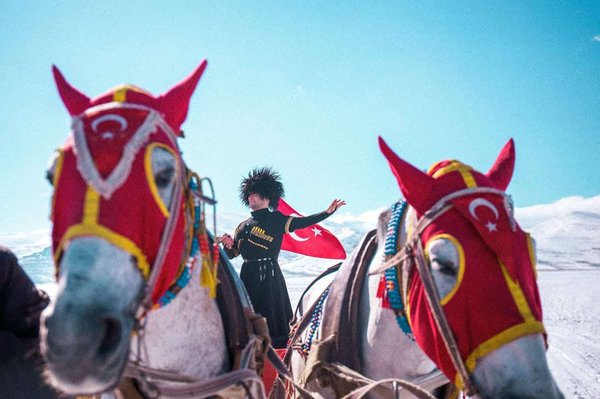 Quels sont les forfaits croisière pour une immersion dans la culture Maori en Nouvelle-Zélande?